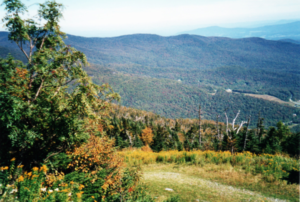 Views from the skylift